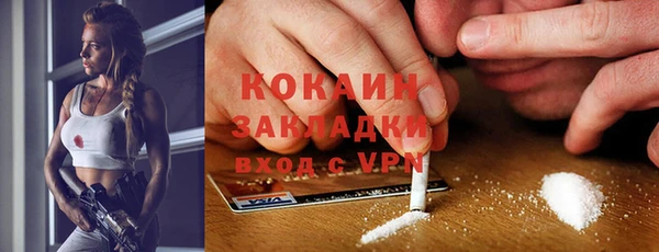 шишки Каменка