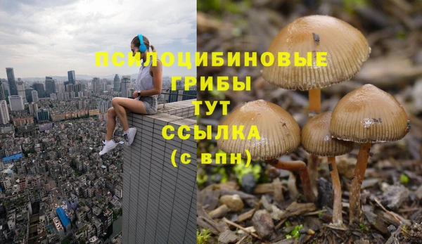 шишки Каменка