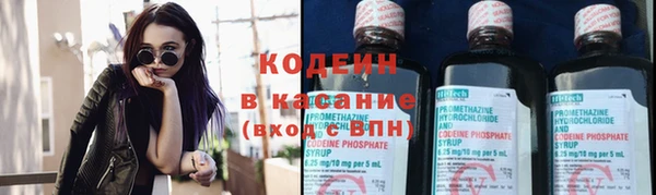шишки Каменка