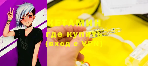 шишки Каменка