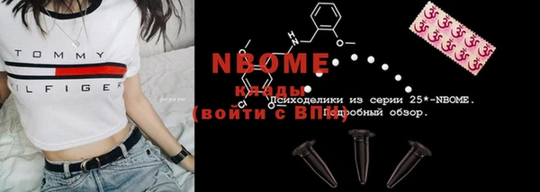 шишки Каменка