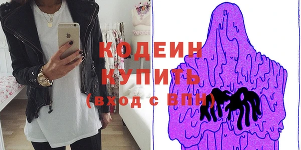 шишки Каменка