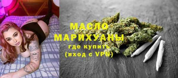 шишки Каменка