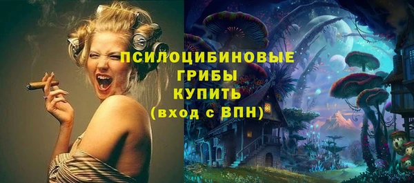 шишки Каменка