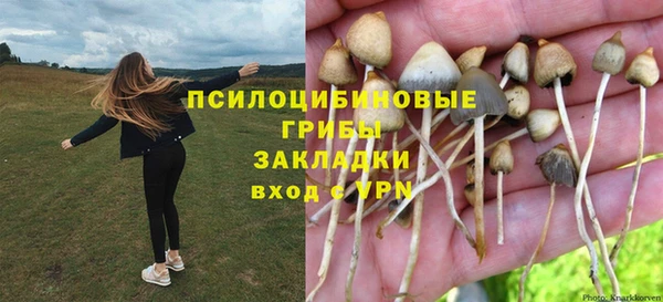 кокаин Каменск-Шахтинский
