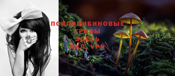 шишки Каменка